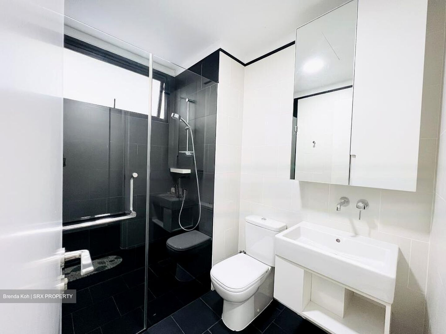 Village @ Pasir Panjang (D5), Condominium #465014411